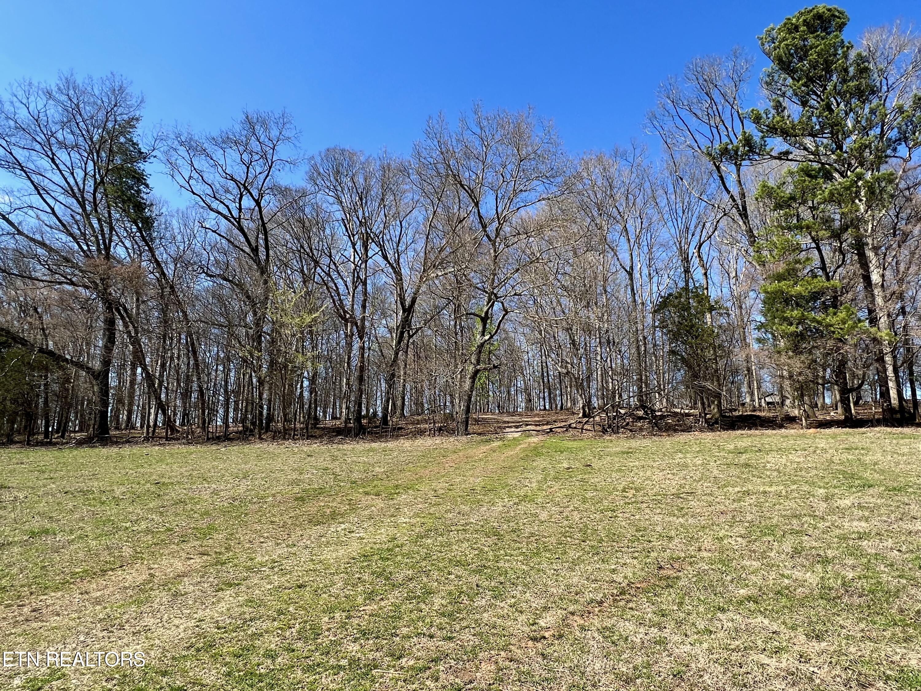 0 Trigonia Road Maryville, TN 37801 - Photo 19 of 26 IMG_5665