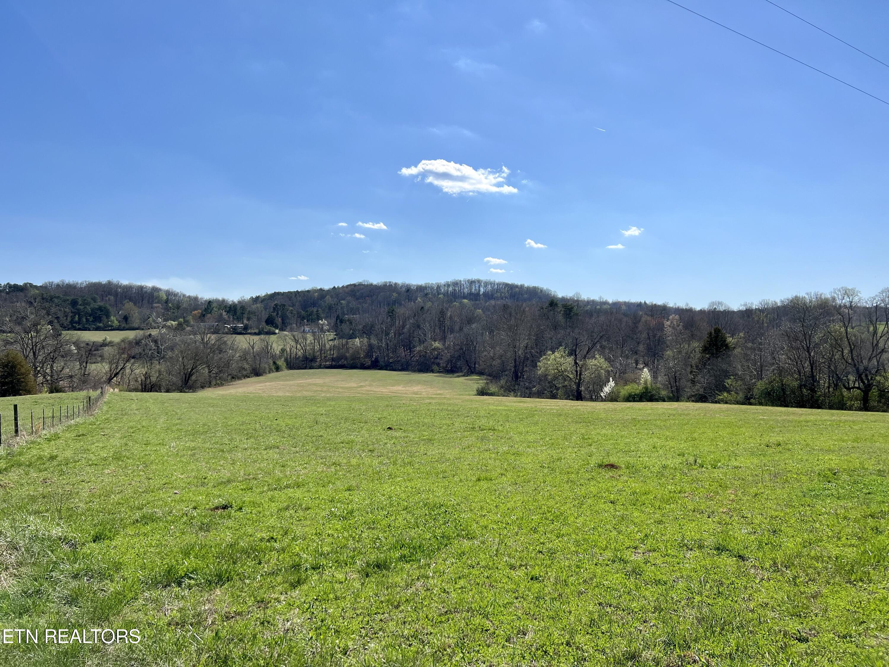 0 Trigonia Road Maryville, TN 37801 - Photo 20 of 26 IMG_5668 2