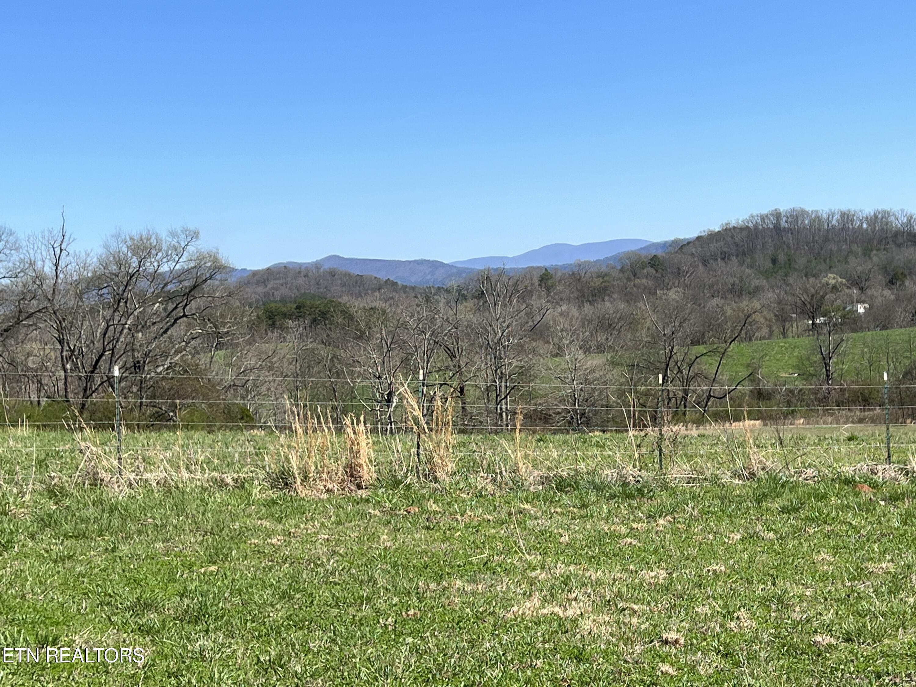 0 Trigonia Road Maryville, TN 37801 - Photo 21 of 26 IMG_5669
