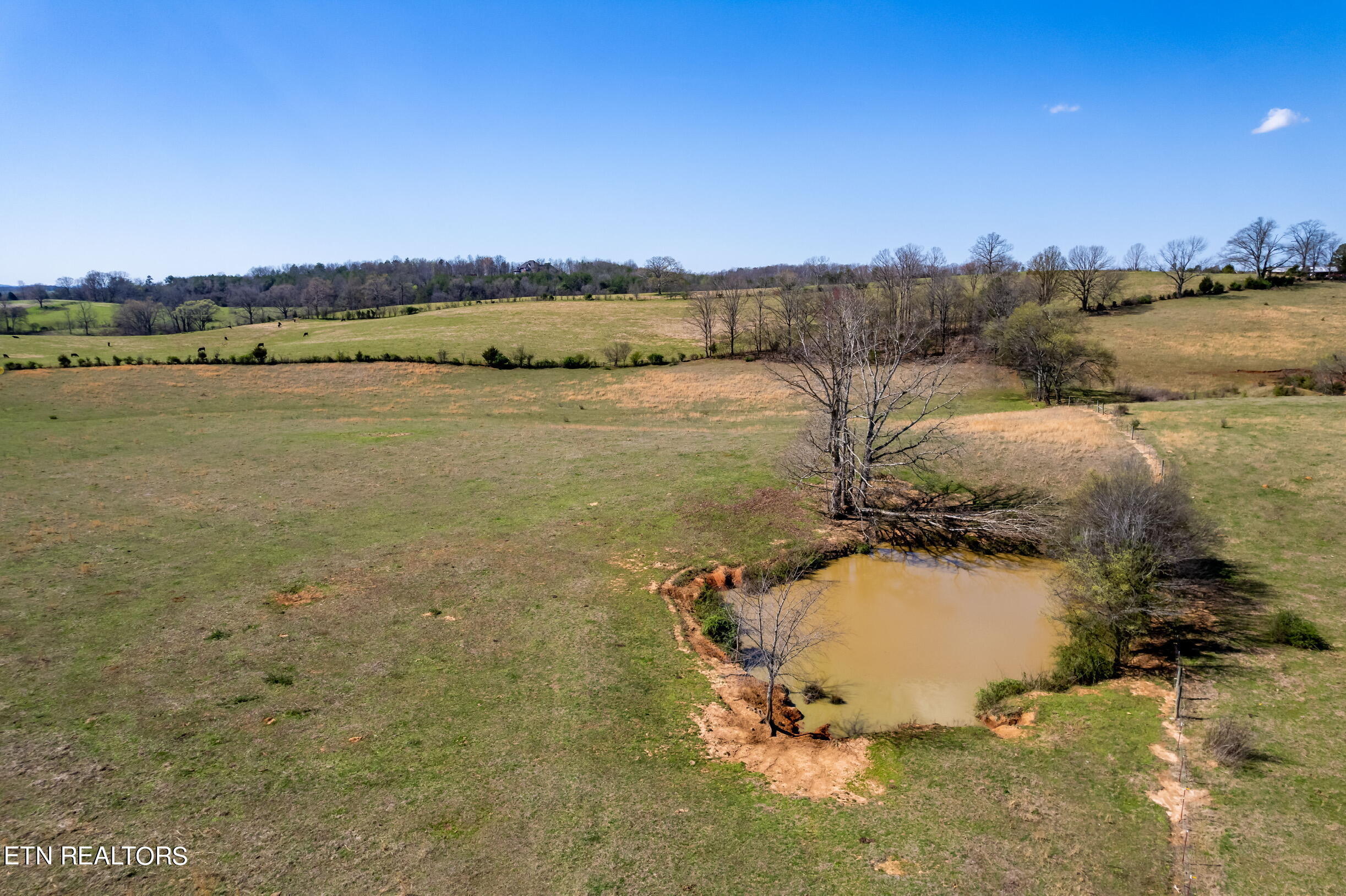 0 Trigonia Road Maryville, TN 37801 - Photo 25 of 26 Trigoniard-16
