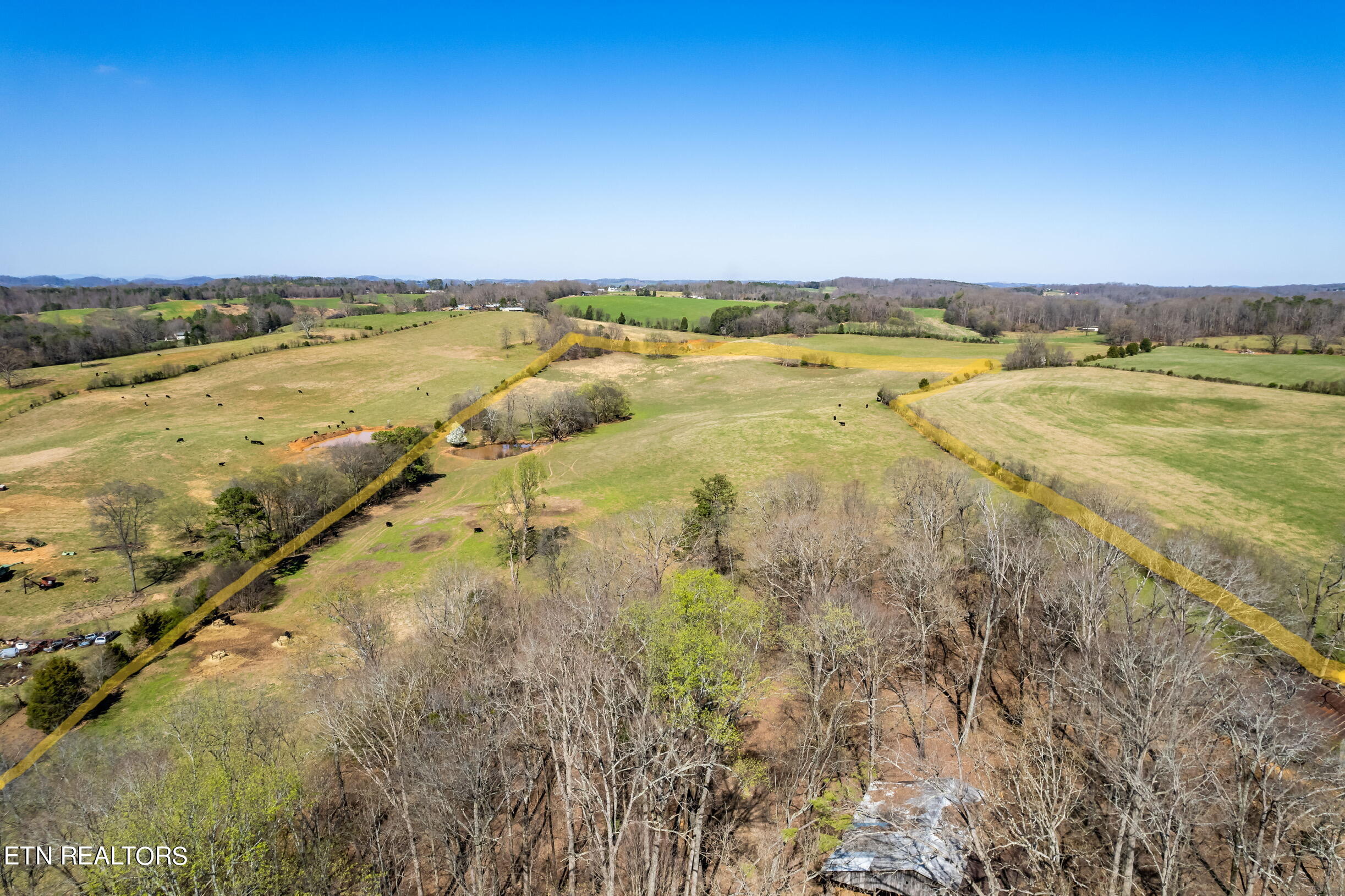 0 Trigonia Road Maryville, TN 37801 - Photo 4 of 26 Trigoniard-25