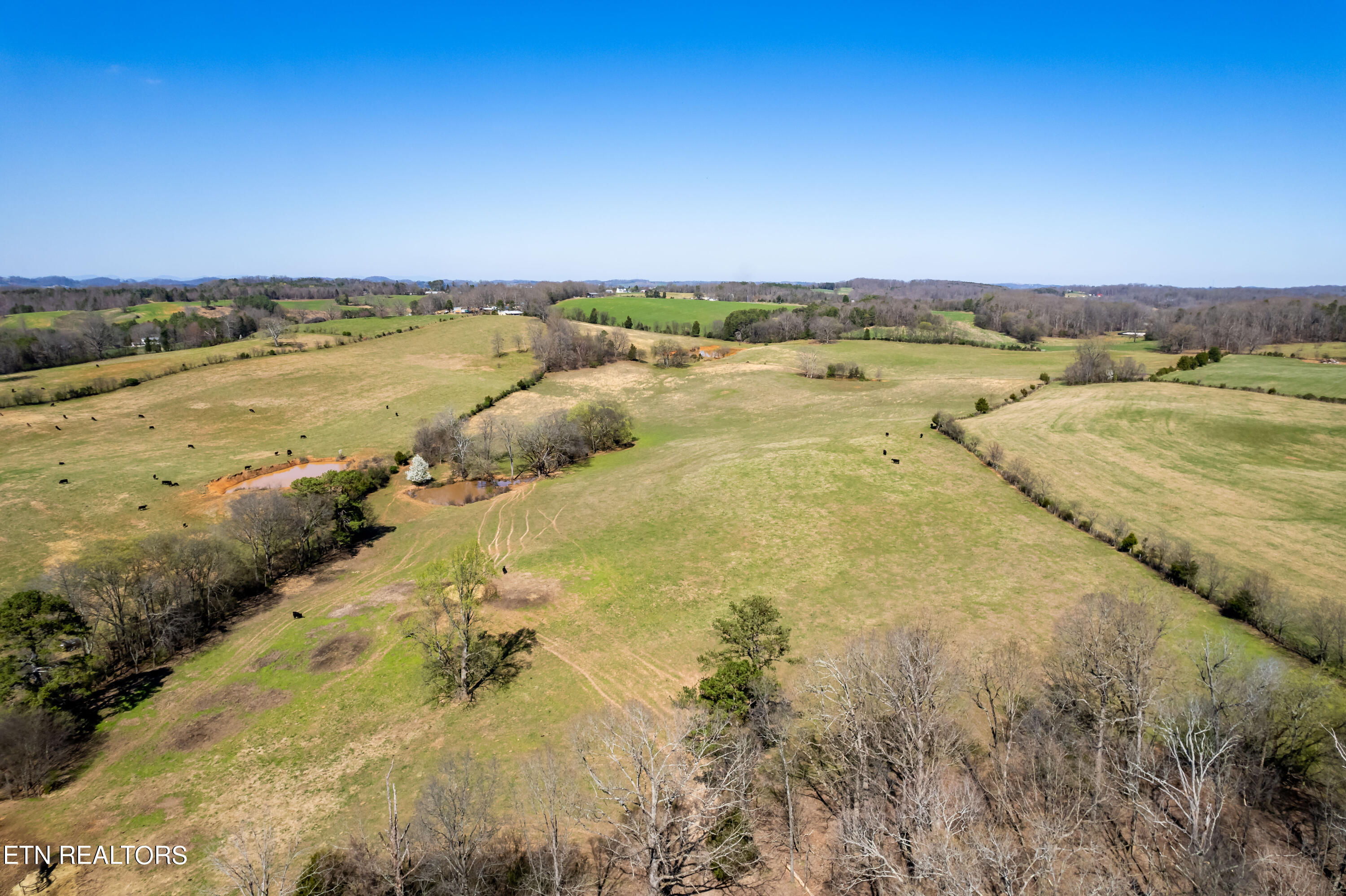 0 Trigonia Road Maryville, TN 37801 - Photo 5 of 26 Trigoniard-26
