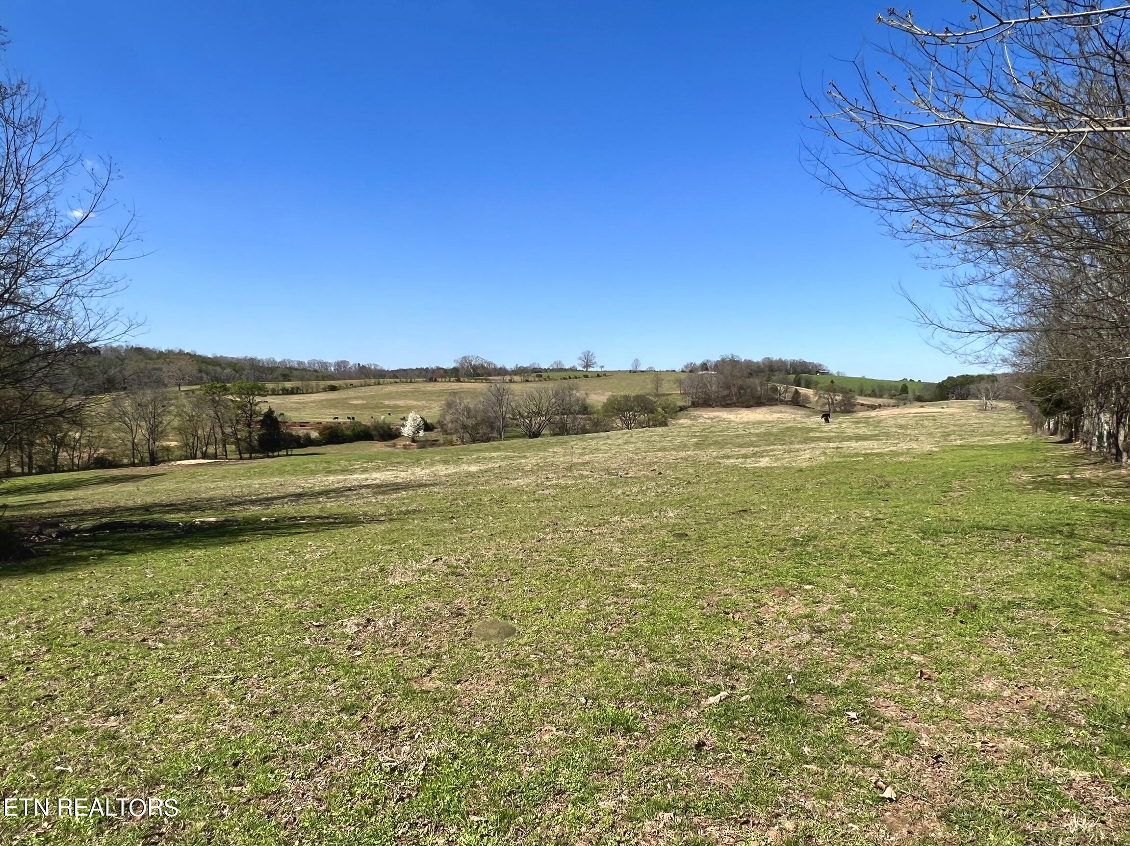 0 Trigonia Road Maryville, TN 37801 - Photo 7 of 26 IMG_5638