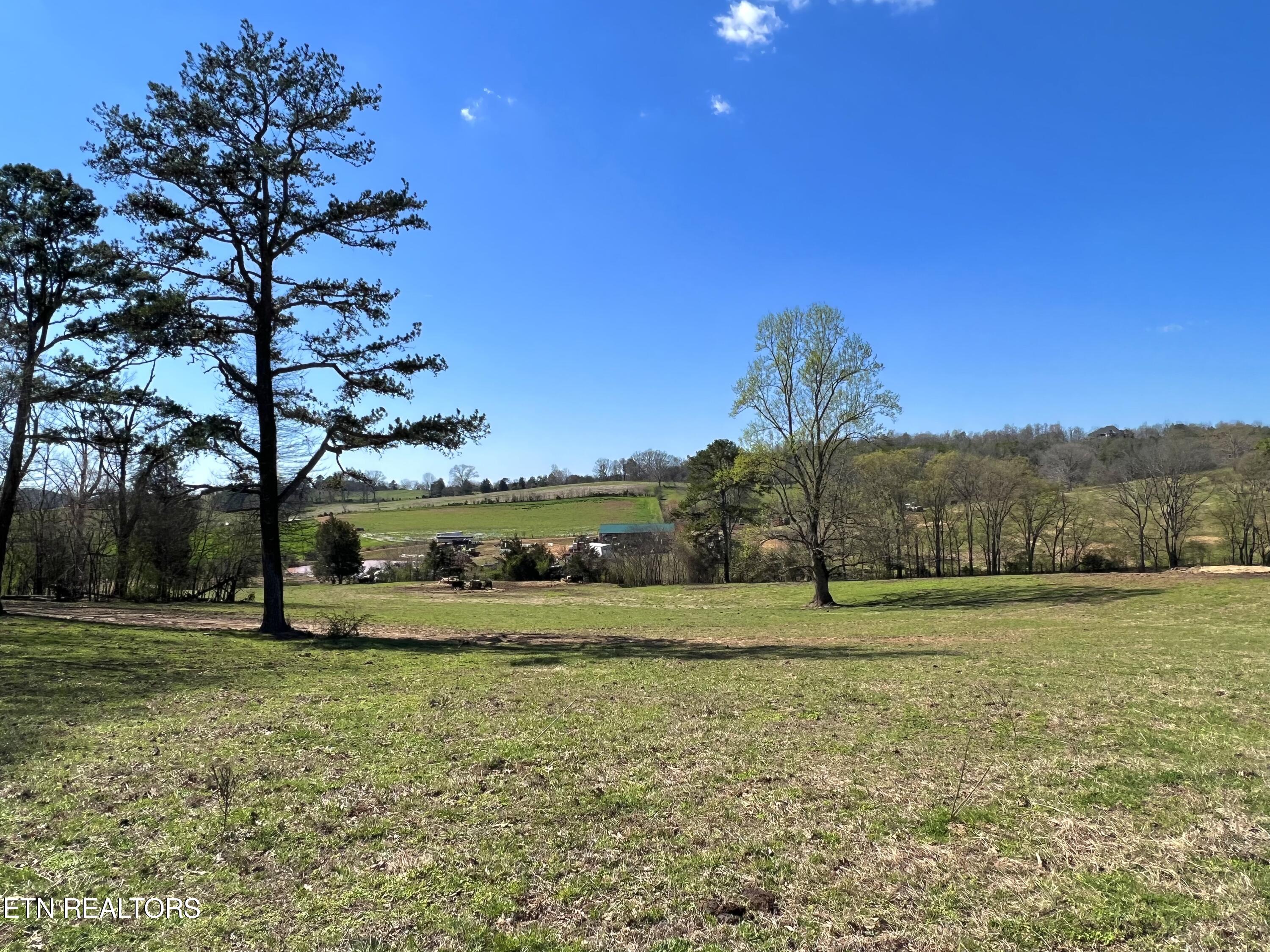 0 Trigonia Road Maryville, TN 37801 - Photo 8 of 26 IMG_5643