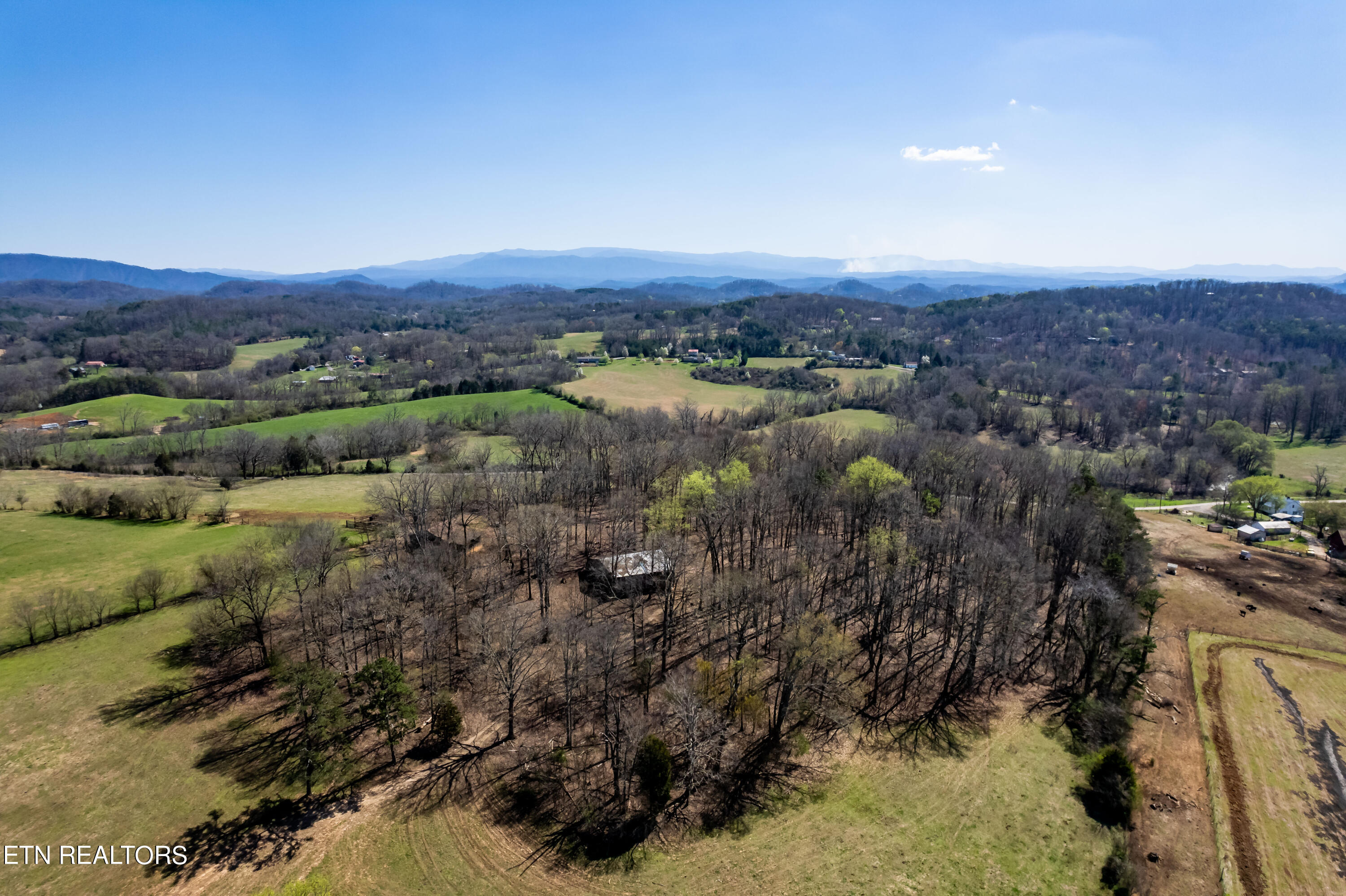0 Trigonia Road Maryville, TN 37801 - Photo 10 of 26 Trigoniard-20