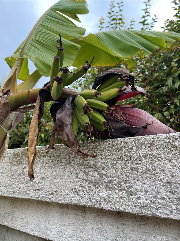 15 Marsala Irvine, CA 92606 - Photo 31 of 31 a close up of a sink