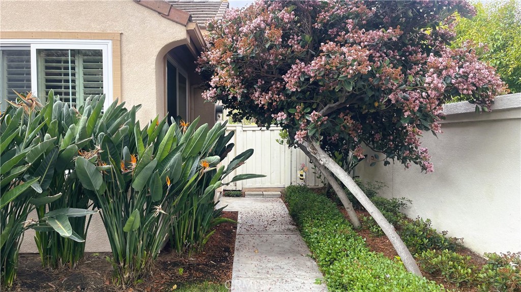 15 Marsala Irvine, CA 92606 - Photo 4 of 31 a plant that is in front of a house