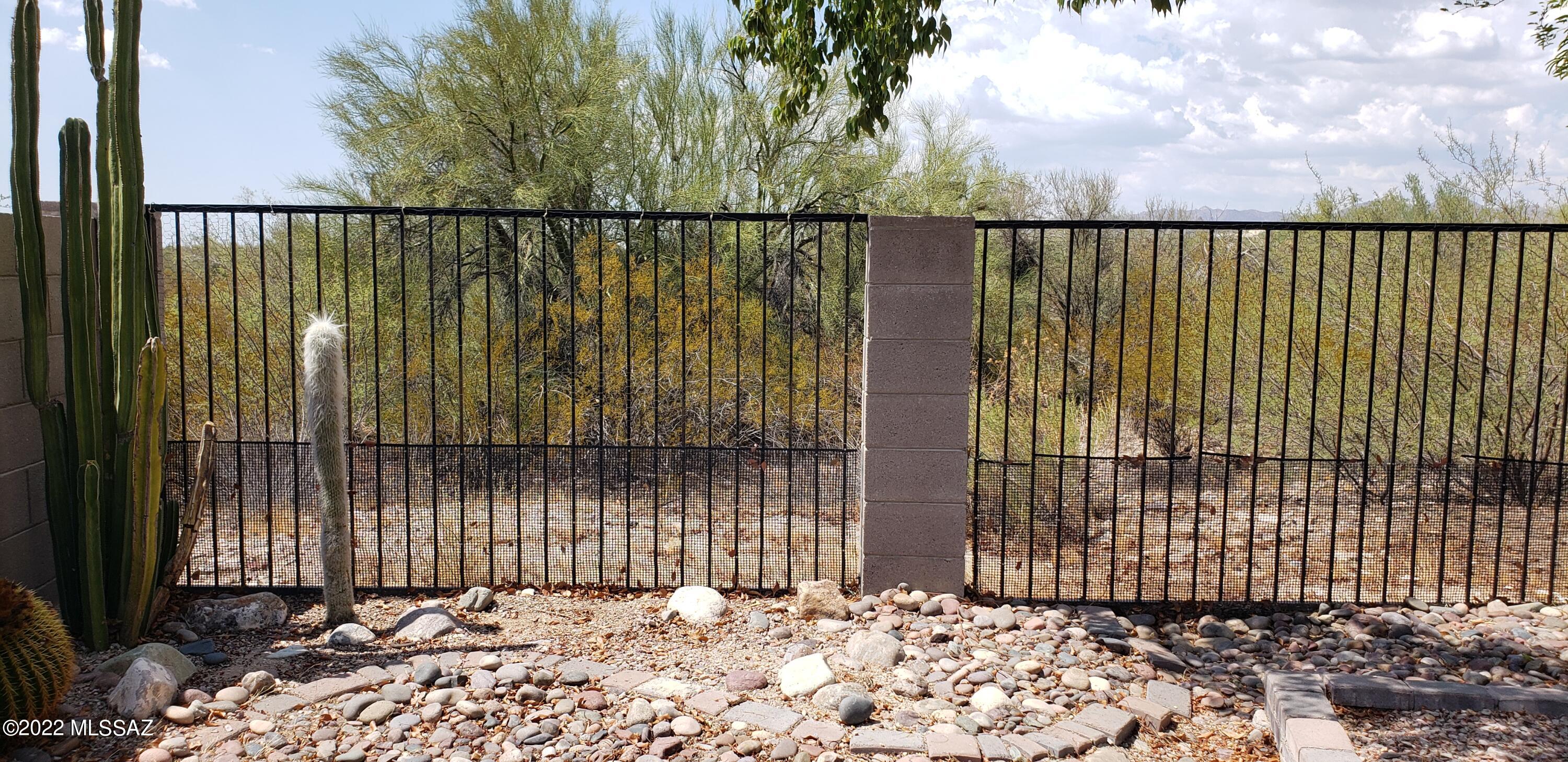 5638 West Red Racer Drive Tucson, AZ 85742 - Photo 4 of 19