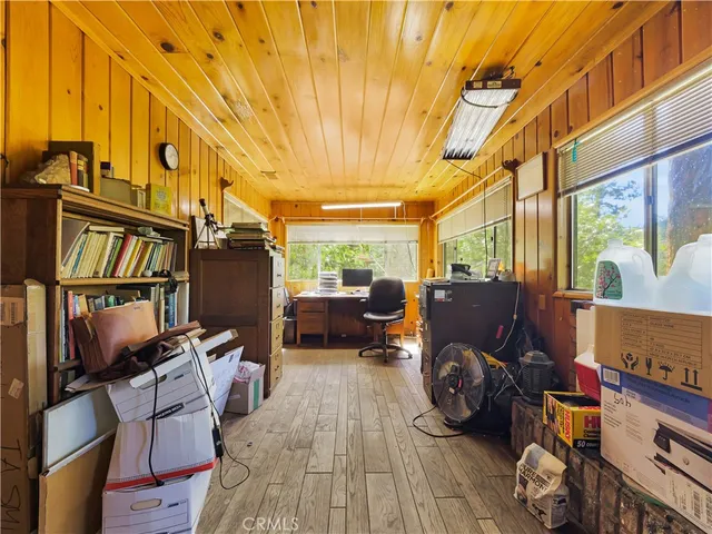 a view of a yard with plants and trees