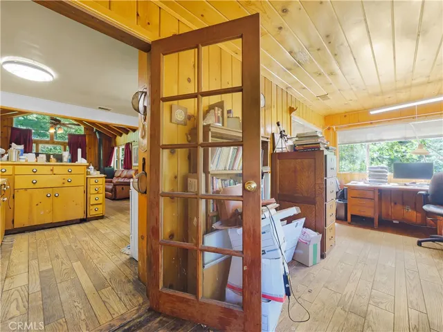 a view of a yard with plants and large trees