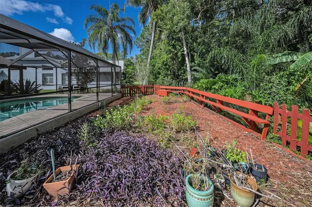 a view of a lush green forest with lots of trees