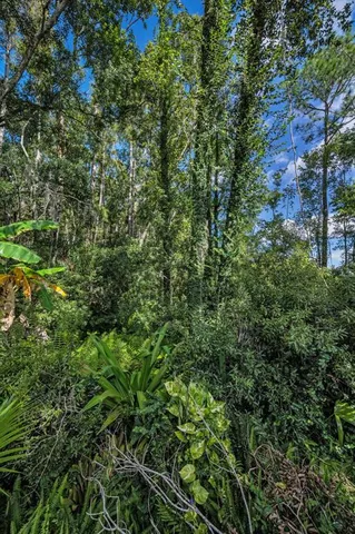 $620,000 | 3351 Jadewood Circle, Tarpon Springs, FL 34688