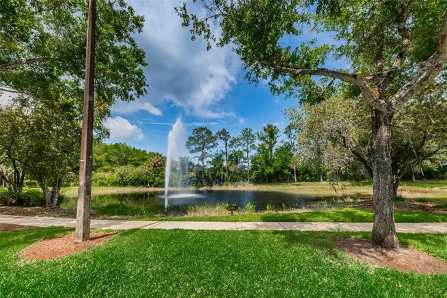 $620,000 | 3351 Jadewood Circle, Tarpon Springs, FL 34688