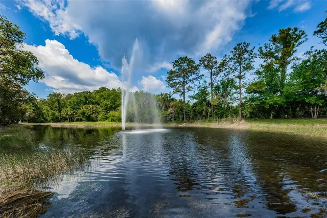 $620,000 | 3351 Jadewood Circle, Tarpon Springs, FL 34688