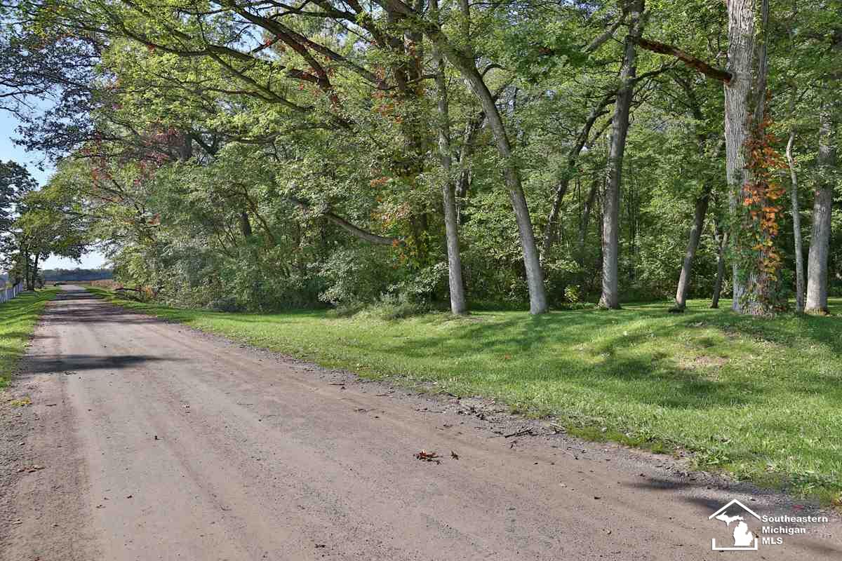 2929 Mock Road Monroe, MI 48162 - Photo 3 of 23