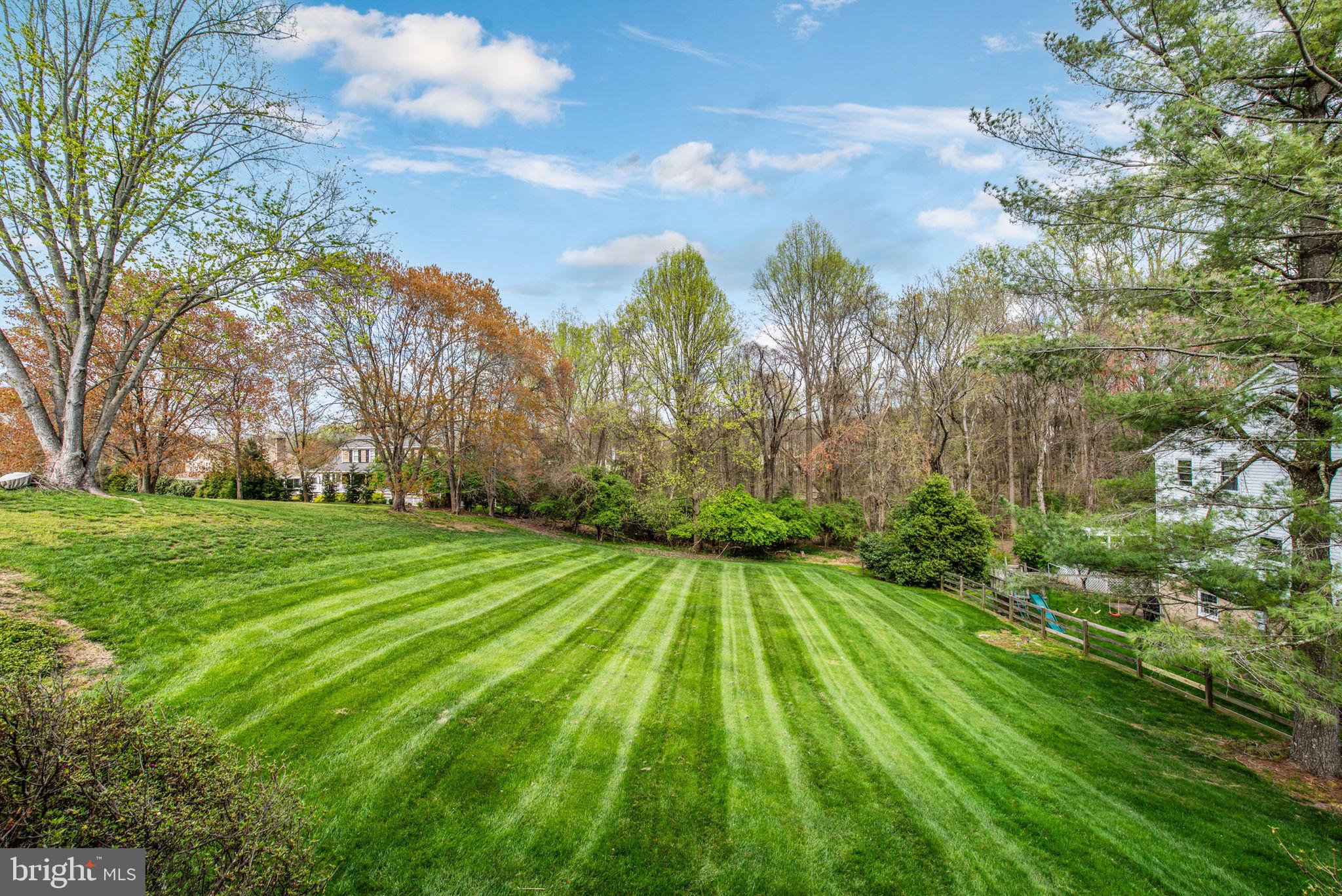 2821 Rifle Ridge Road Oakton, VA 22124 - Photo 21 of 56 Beautiful Views with wall of trees