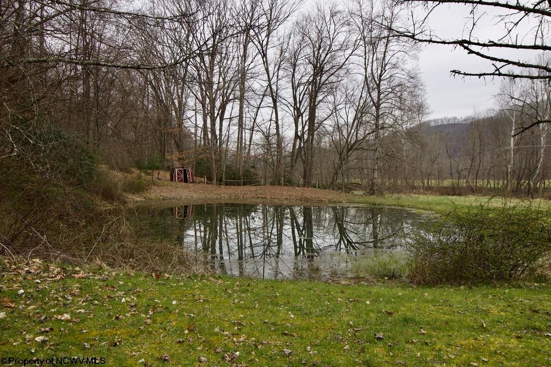 629 Butts Farm Road Parsons, WV 26287 - Photo 7 of 30 Gallery Image 7