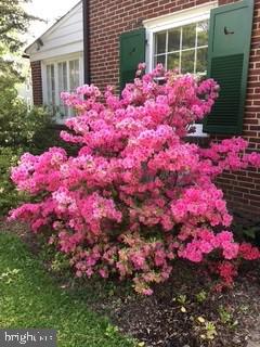 331 Broxton Road Baltimore, MD 21212 - Photo 17 of 58 a pink flowers in front of the house