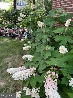 331 Broxton Road Baltimore, MD 21212 - Photo 23 of 58