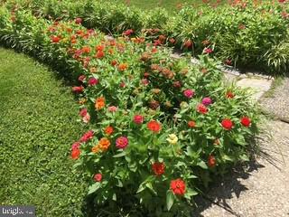 331 Broxton Road Baltimore, MD 21212 - Photo 54 of 58