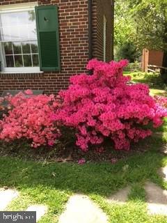 331 Broxton Road Baltimore, MD 21212 - Photo 55 of 58 a front view of a house with a yard