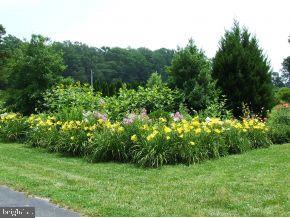 22992 Parker Road Georgetown, DE 19947 - Photo 4 of 12