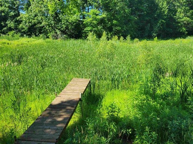 470 White Road Gladwin, MI 48624 - Photo 6 of 24