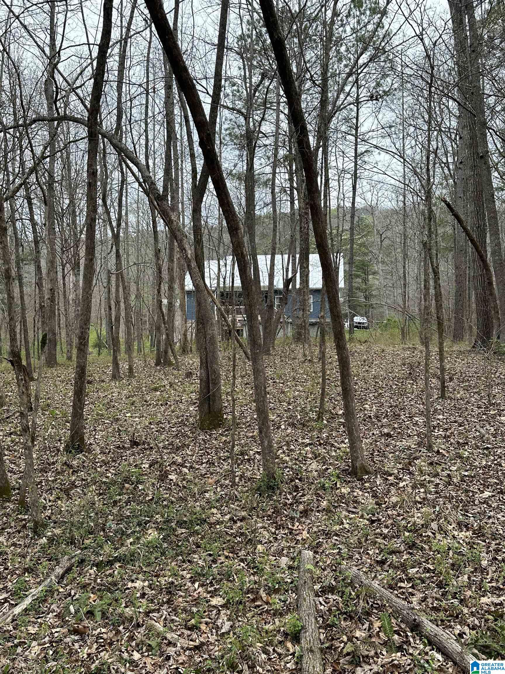 1378 Mill Creek Road Warrior, AL 35180 - Photo 38 of 42