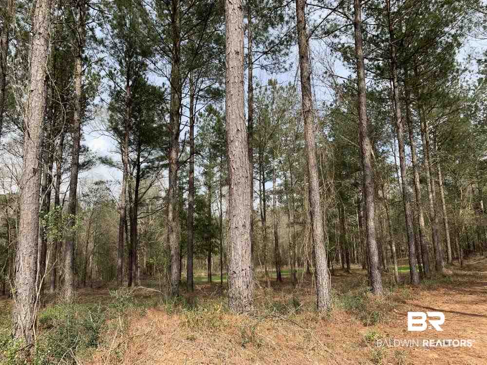 17525 Joe Gottler Road Elberta, AL 36530 - Photo 23 of 44