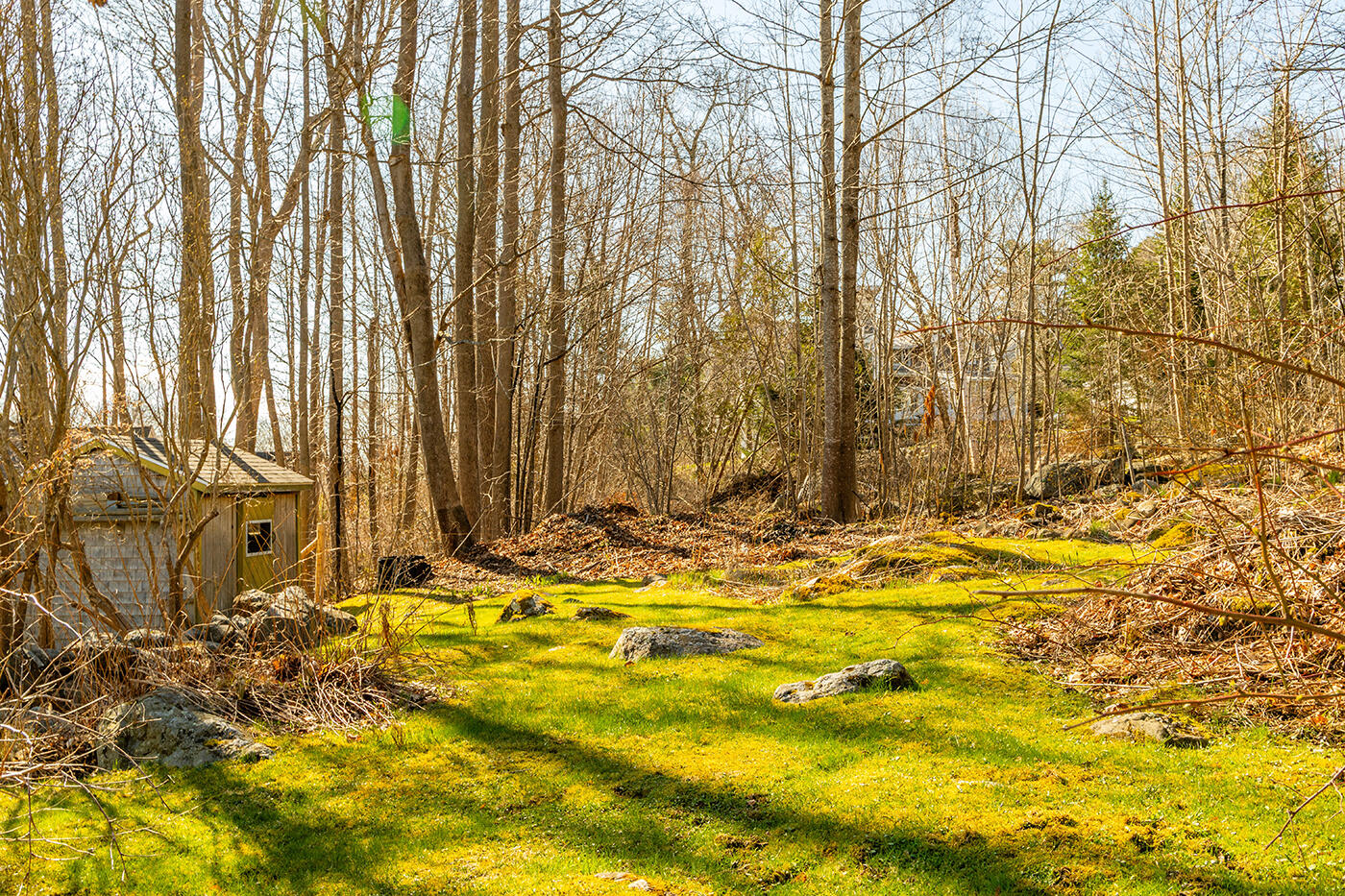 107 Bay View Street Camden, ME 04843 - Photo 67 of 72 IMG_3727