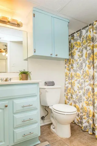 a bathroom with a sink a toilet and shower curtain