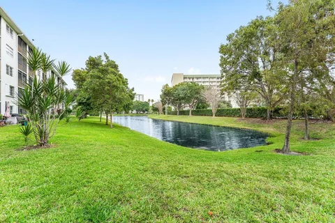 a view of a park with large trees