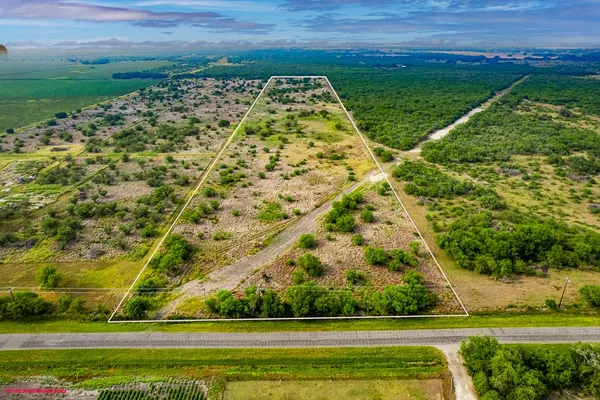 a view of yard with large trees