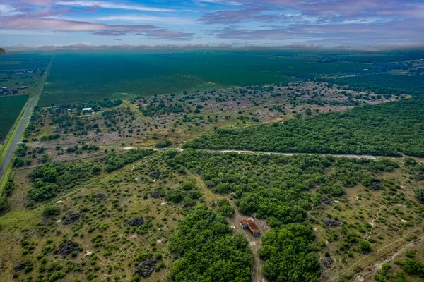 a view of a garden with a building