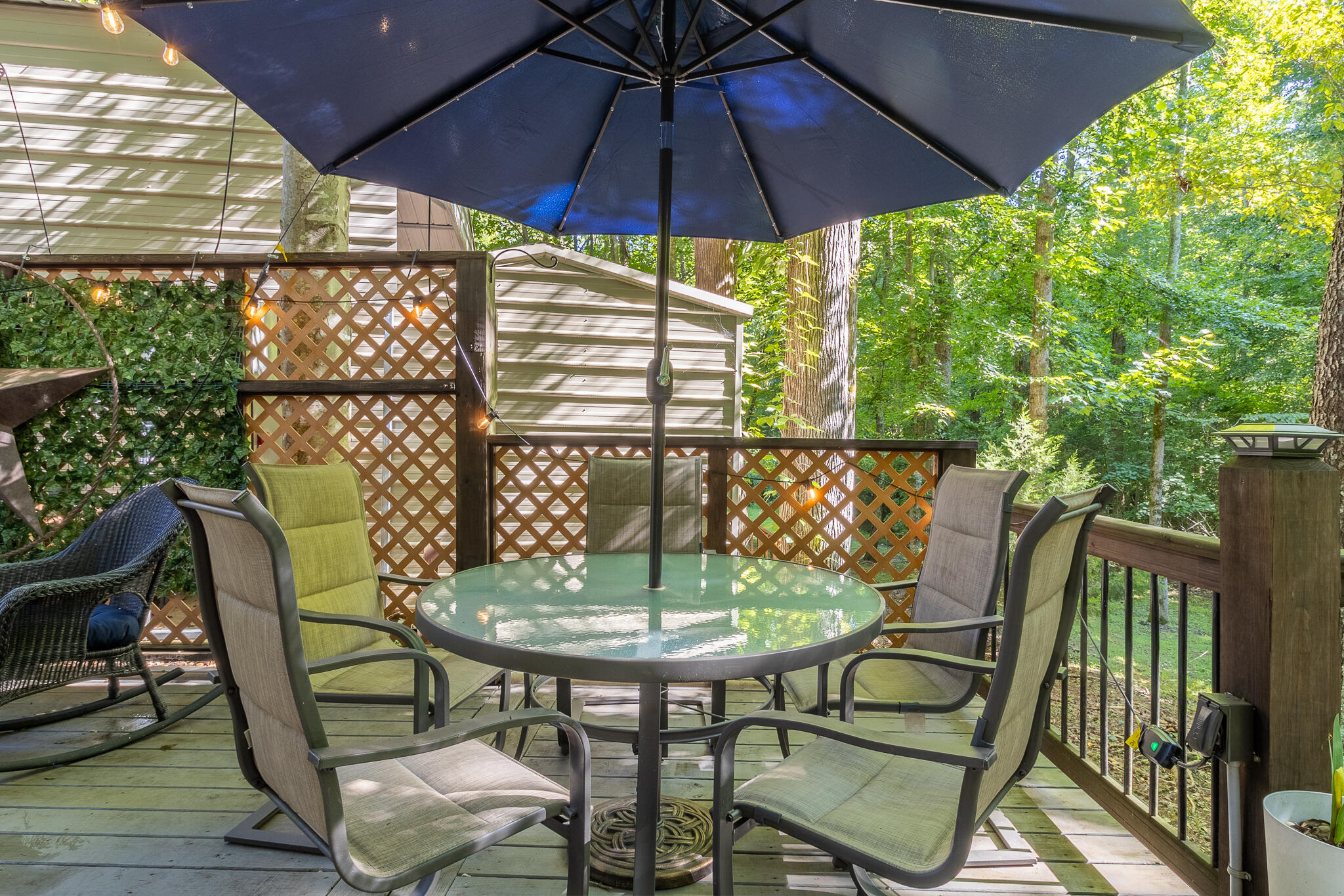 231 Serenity Loop, Unit 69 Chatsworth, GA 30705 - Photo 10 of 27 231 Serenity Loop-11