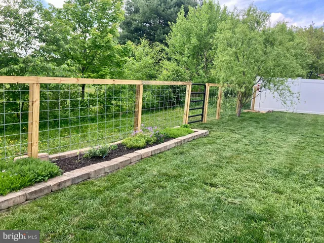 a view of a backyard with a garden and plants