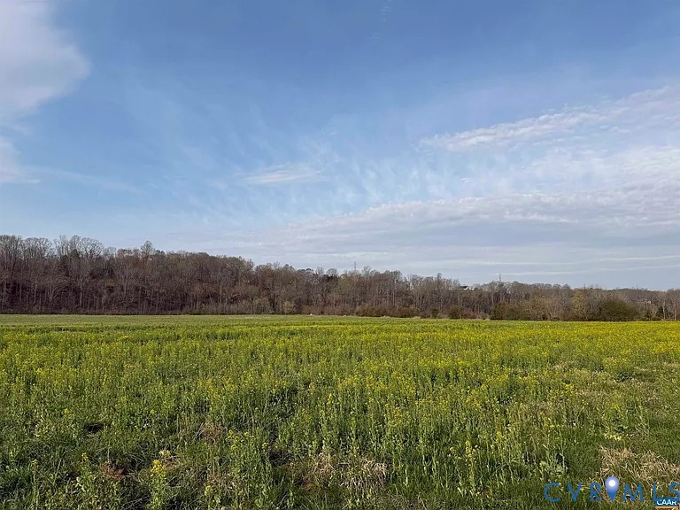 0 Paynes Pond Road Scottsville, VA 24590 - Photo 24 of 44