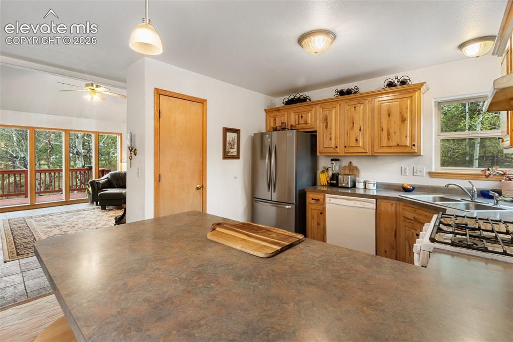 996 Spring Valley Drive Divide, CO 80814 - Photo 16 of 47