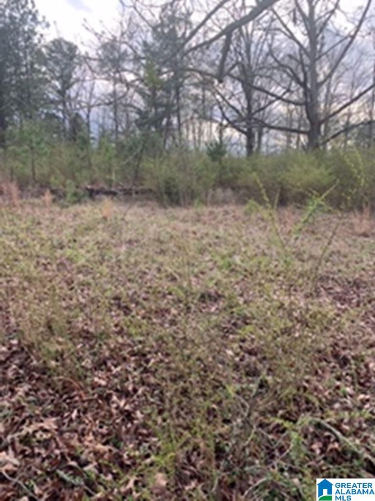 0 Truss Ferry Road, Unit 1 Lincoln, AL 35096 - Photo 5 of 11