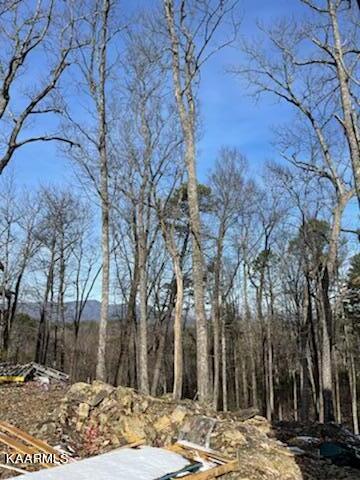 2624 Cloud View Drive Sevierville, TN 37862 - Photo 20 of 21 IMG-5290