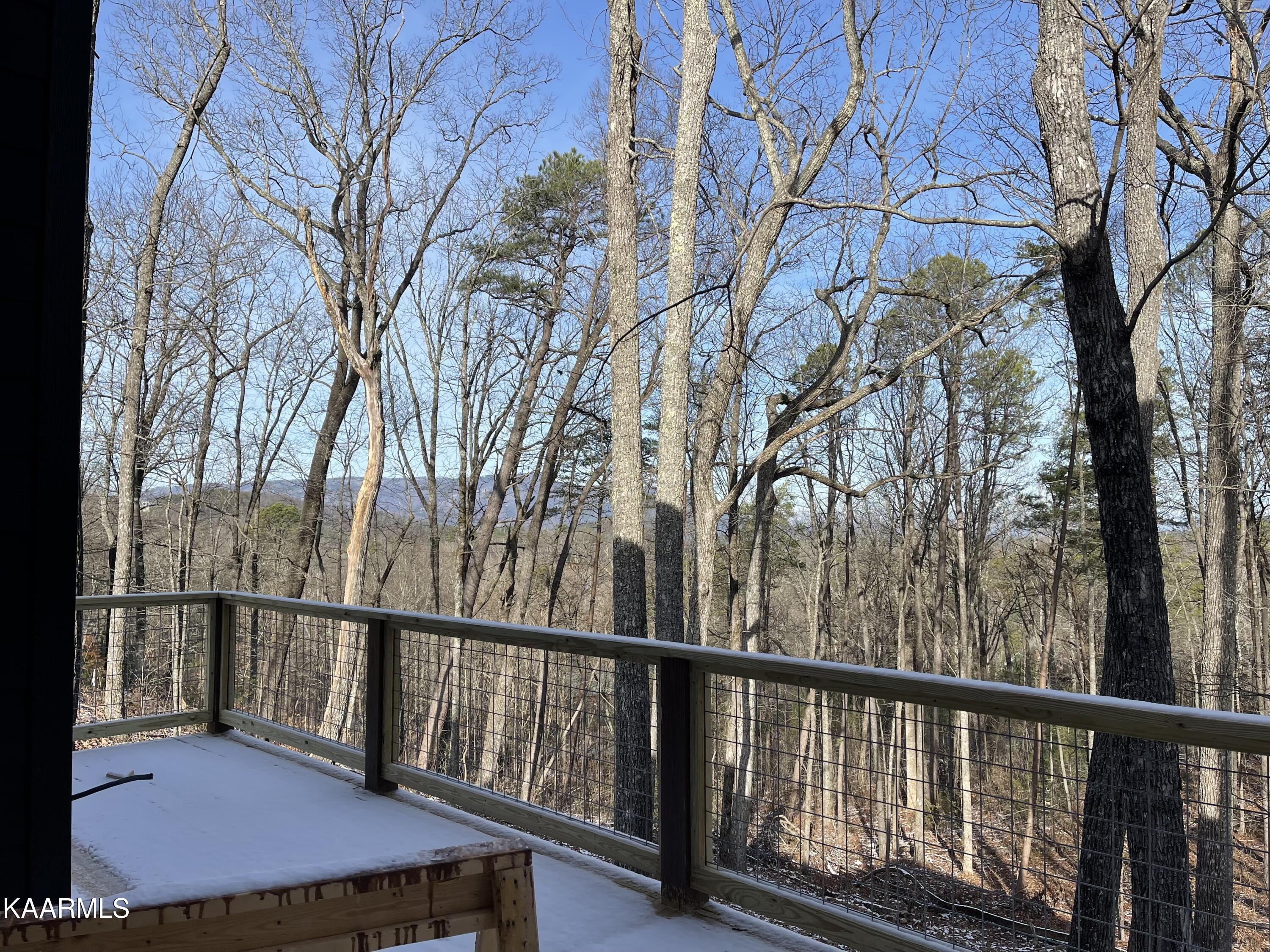 2624 Cloud View Drive Sevierville, TN 37862 - Photo 21 of 21 IMG-5278