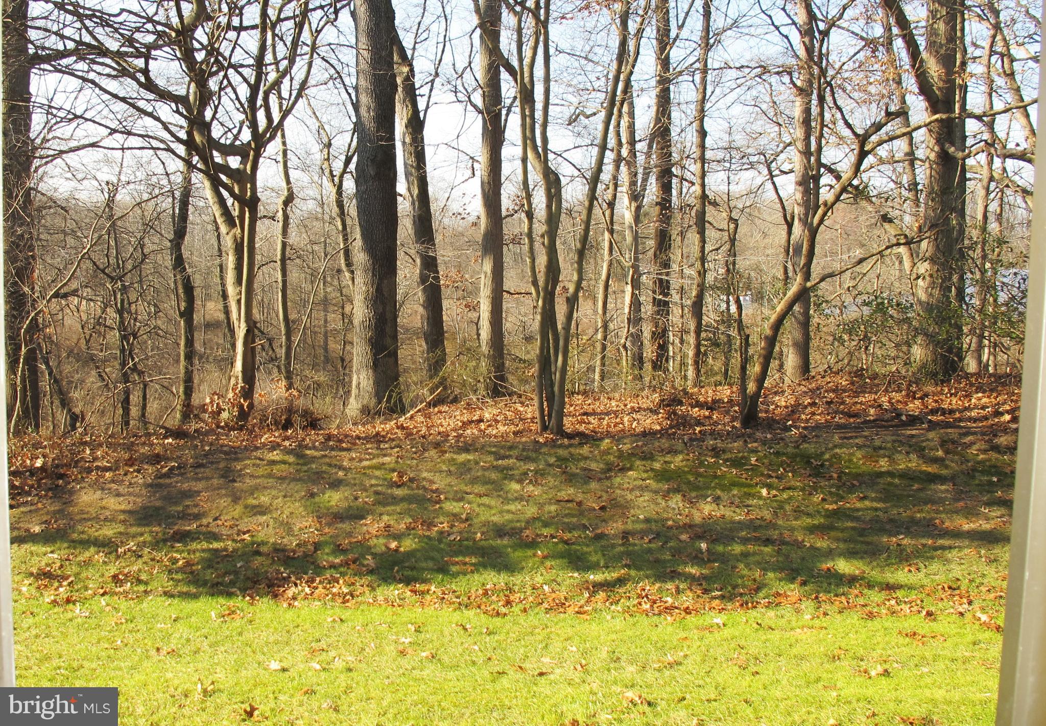3903A Chadbury Road, Unit A Mount Laurel, NJ 08054 - Photo 2 of 19 Wooded View