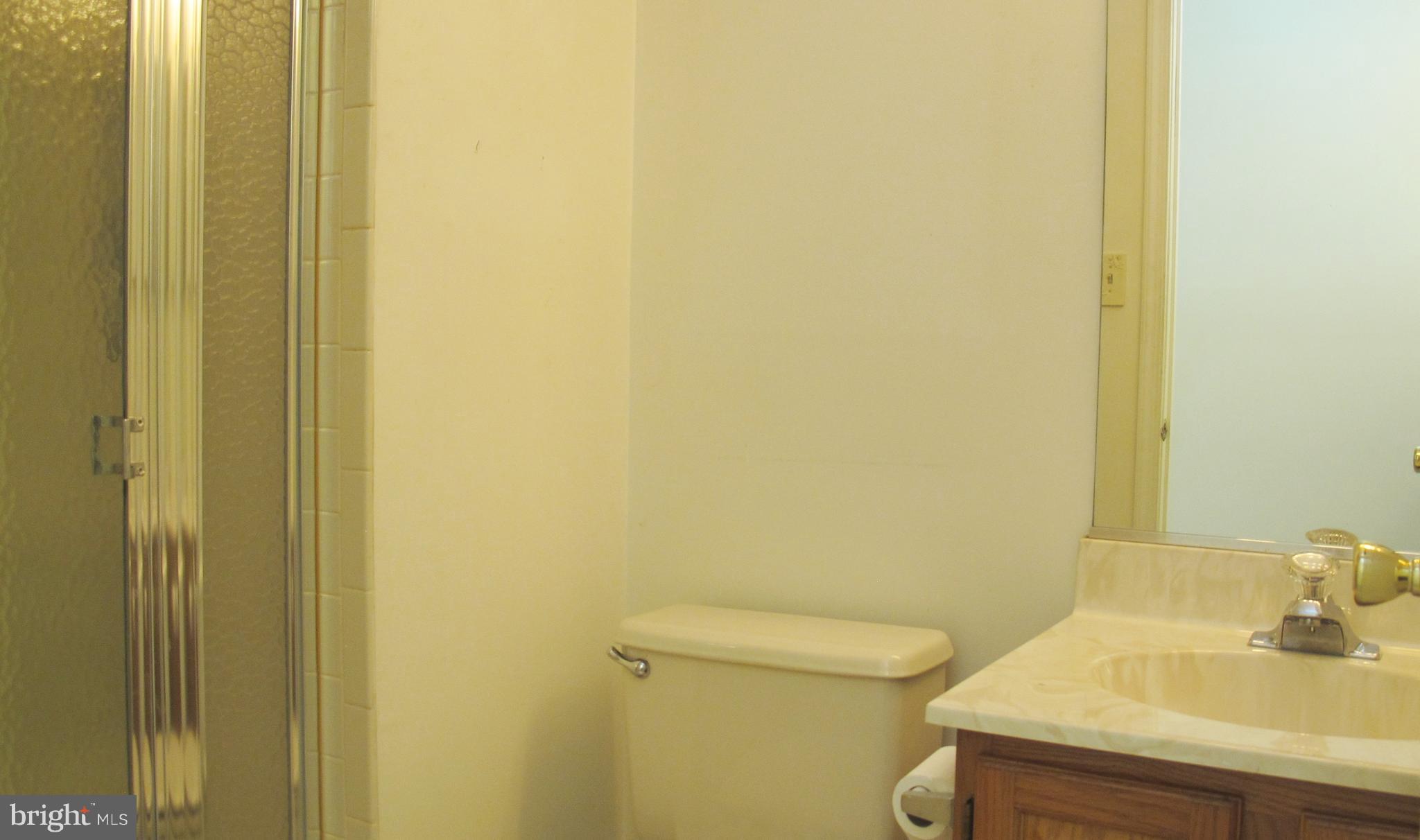 3903A Chadbury Road, Unit A Mount Laurel, NJ 08054 - Photo 15 of 19 Main Bathroom w/Shower Stall