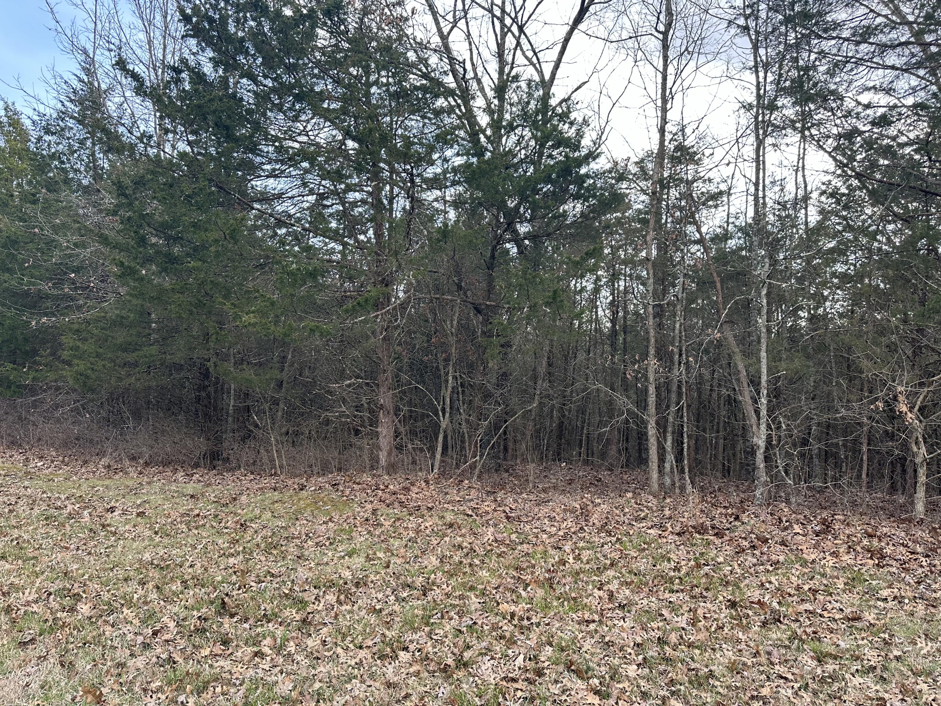 293031 Fox Trail Road Corinth, KY 41010 - Photo 5 of 20