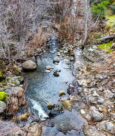 a view of a house with a yard and garage