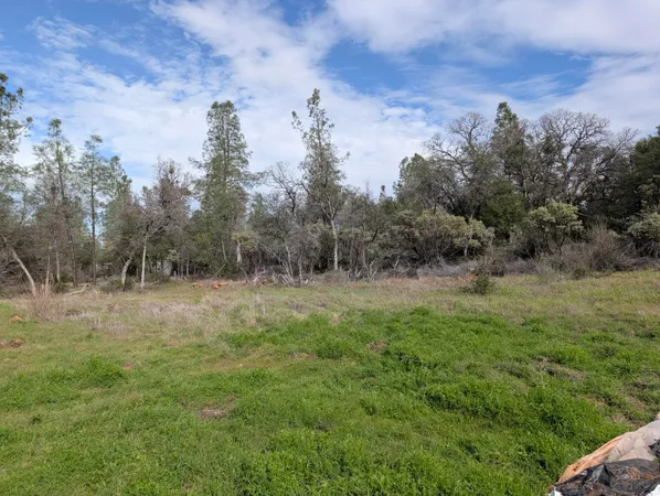 a view of a yard with basketball court