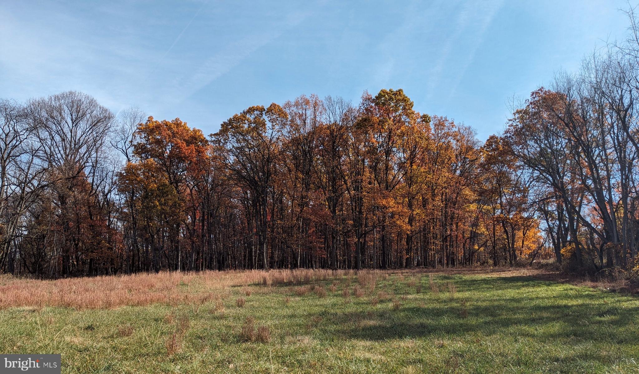 5.99 acres