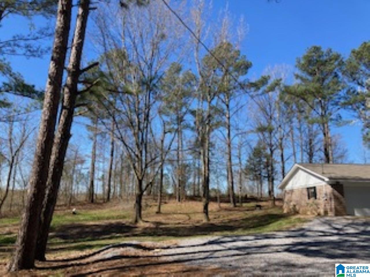 1116 Bailey Springs Road Ohatchee, AL 36271 - Photo 3 of 24
