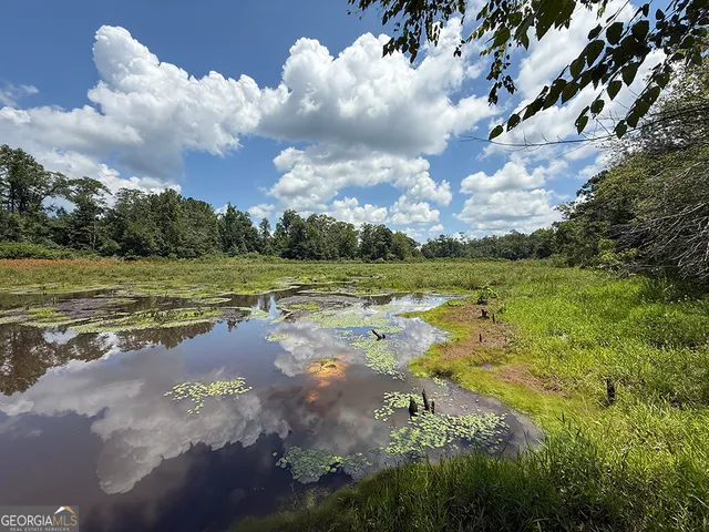 a view of empty space and covered with snow in middle of forest
