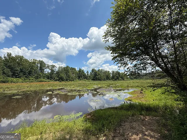 a view of a lake in between two of trees